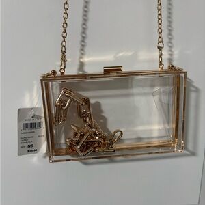 Windsor Clear Acrylic Clutch with Gold Chain Trim